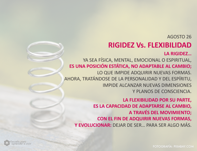 Rigidez Vs. flexibilidad